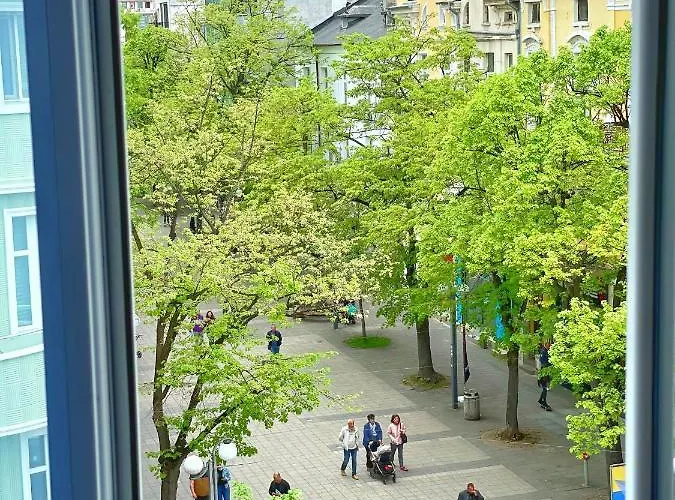 компас Daire *